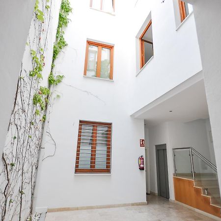 Renthas Vid Loft Διαμέρισμα Μάλαγα Εξωτερικό φωτογραφία